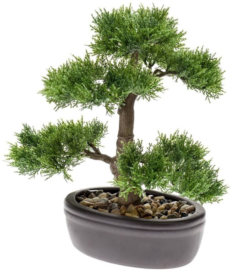 - Bonsai cm of cedar green 32 Preisvergleich 38,50 bei artificial ab | € Emerald
