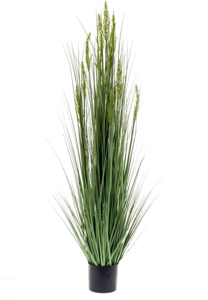 Emerald Herbe de céréales artificielle – 150 cm