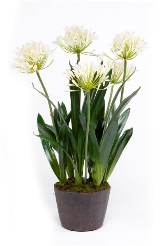 Emerald Agapanthe artificiel - 75 cm