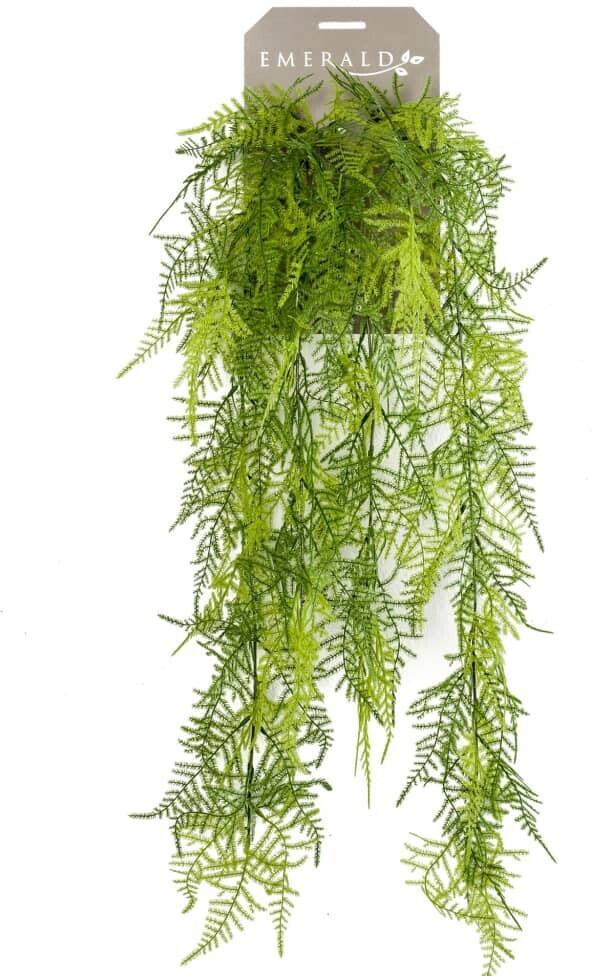 Emerald Asperges Plumosus artificielle – 80 cm