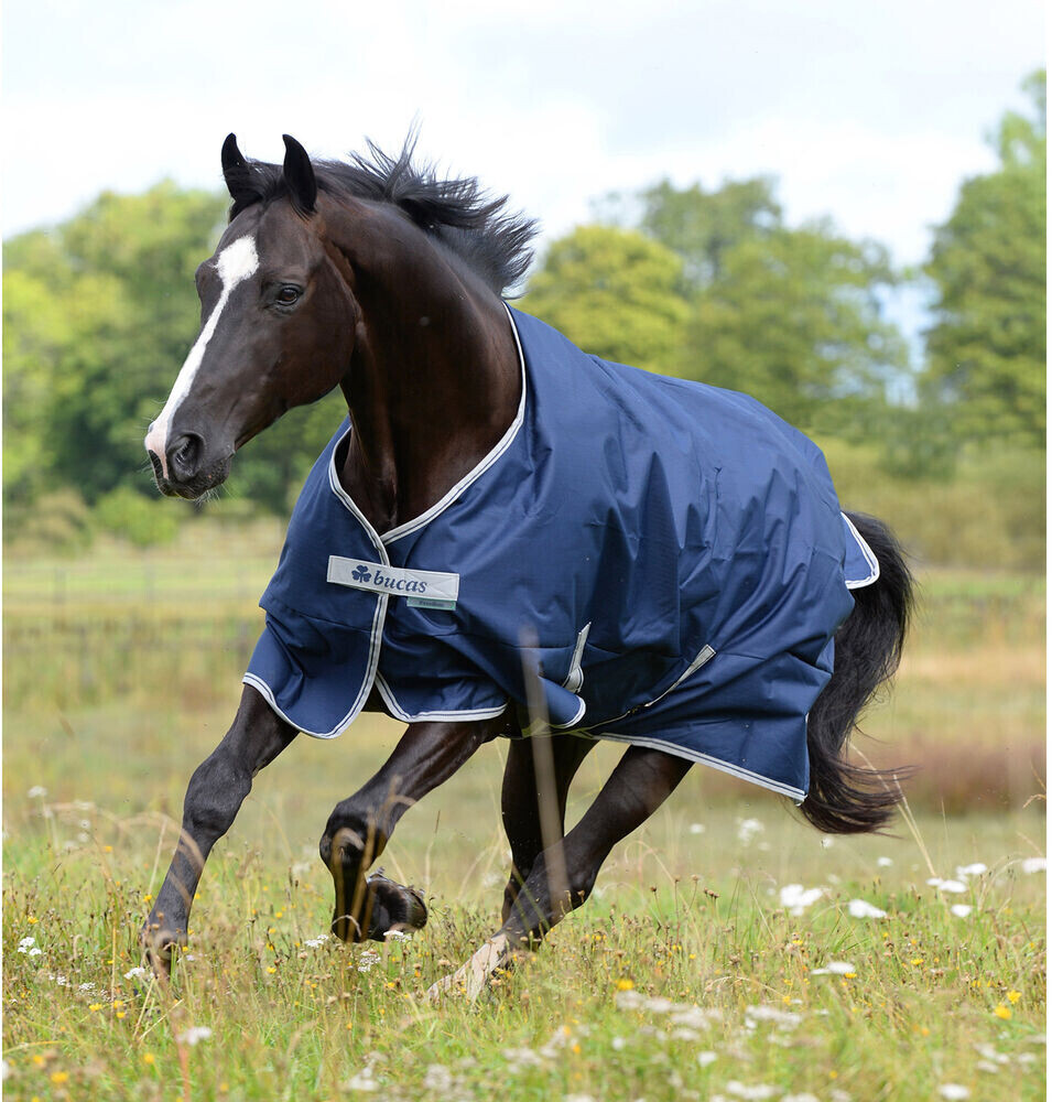 Bucas Freedom Turnout Light 135cm navy