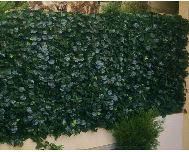 Homemaison Haie artificelle feuilles de lierre Duo 1,50x3m