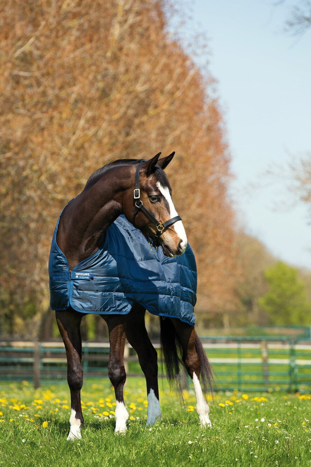 Horseware Liner 100g 140cm navy ab 63,16 € Preisvergleich bei idealo.de