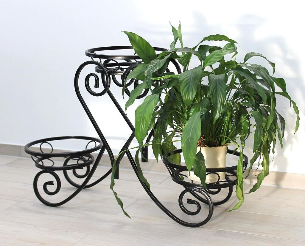 DanDiBo DanDiBo 1132403 - alternate view