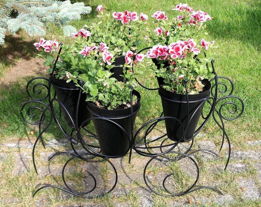 DanDiBo DanDiBo 900615 - back view