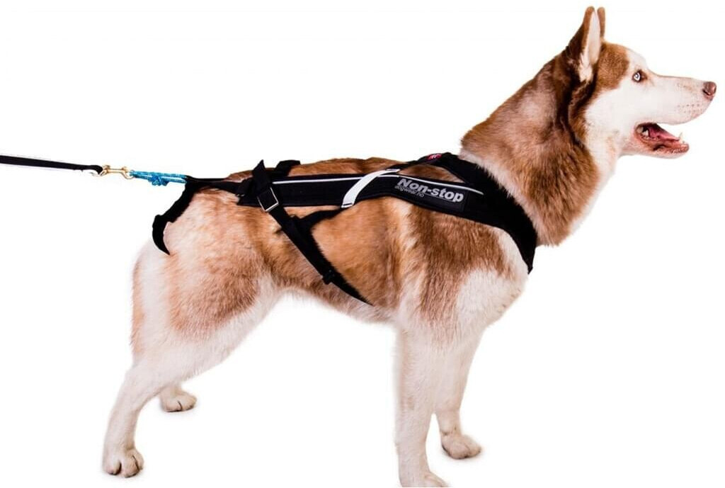 Non-stop dogwear Harnais pour chien Size:10 Black Non-stop dogwear Harnais pour chien Size:10 Black