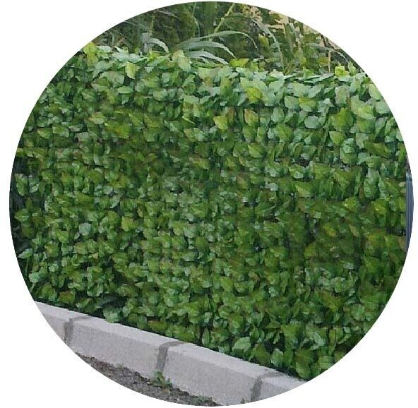 Homemaison Haie artificielle feuilles de rosier 1m x 3m