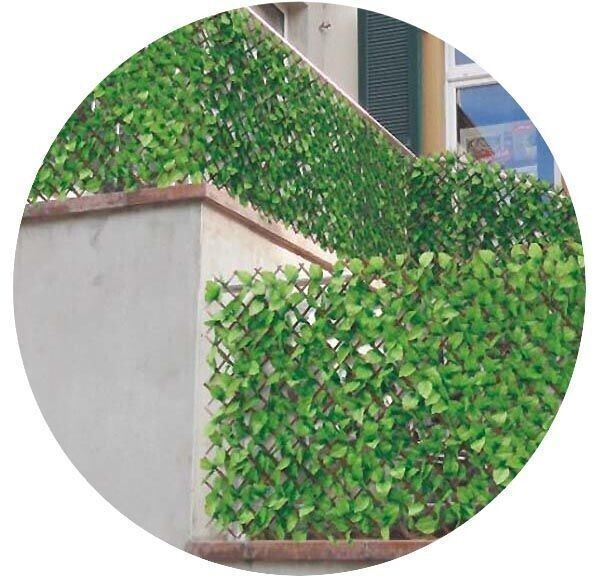 Homemaison Treillis feuilles de rosier 1m x 2m