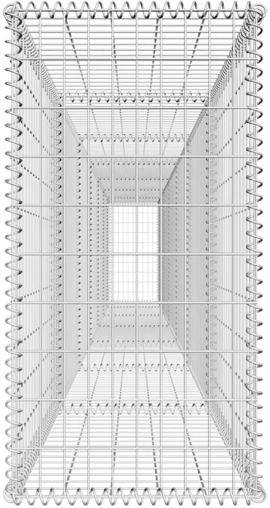 vidaXL Mur en gabion avec couvercle acier galvanisé 600 x 50 x 100 cm