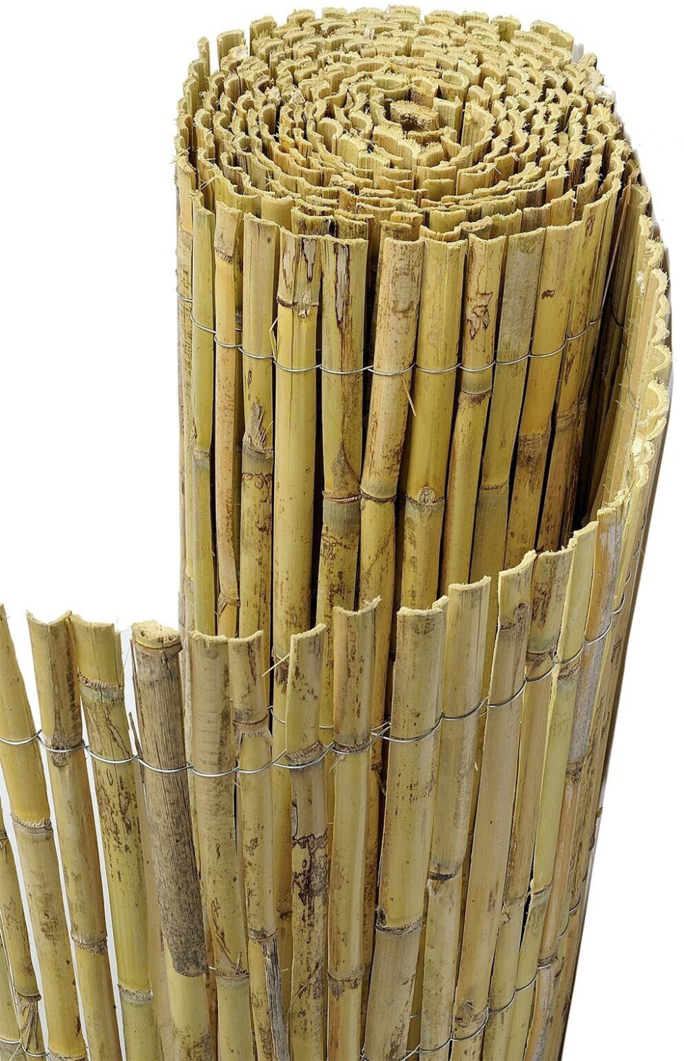 Sodipa Canisse en roseaux 1m x 5m