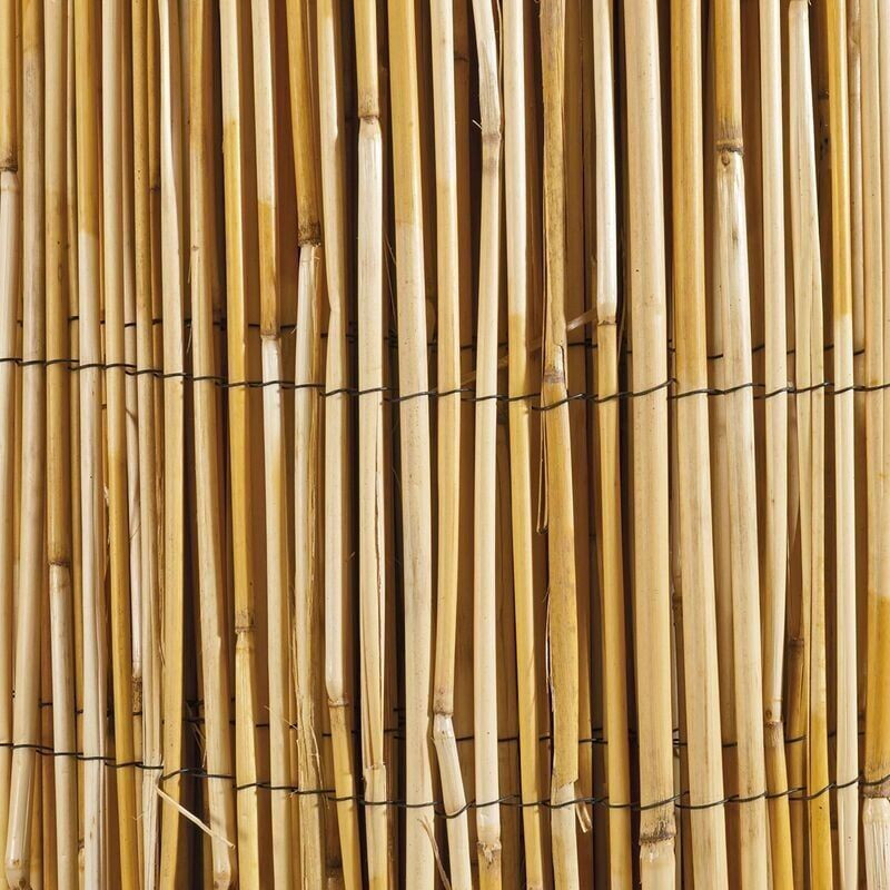 Windhager Canisse en roseaux naturels 1m x 5m