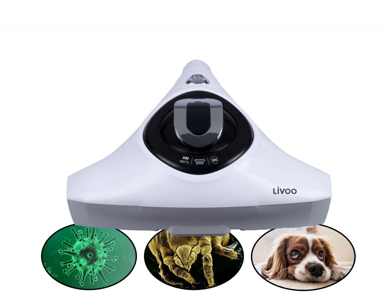 LIVOO 68253659