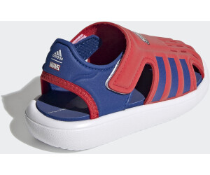 Adidas Water Vivid Red/Royal Blue/Cloud White Kinder (FY8942) desde 24,00 € | Compara en