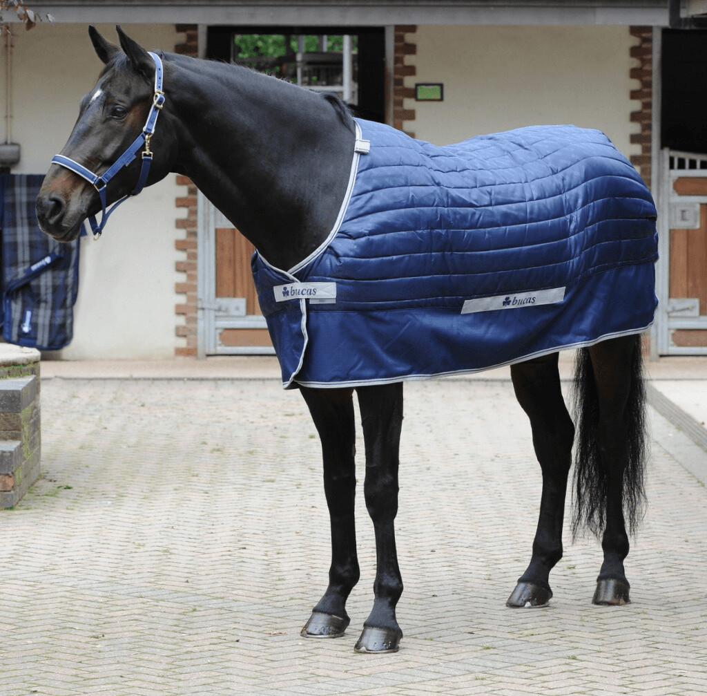 Bucas Quilt Big Neck SD