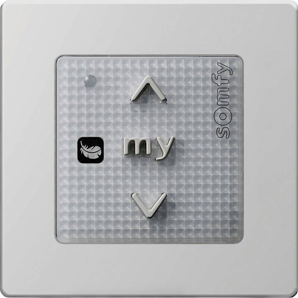 Somfy Smoove Origin RS100