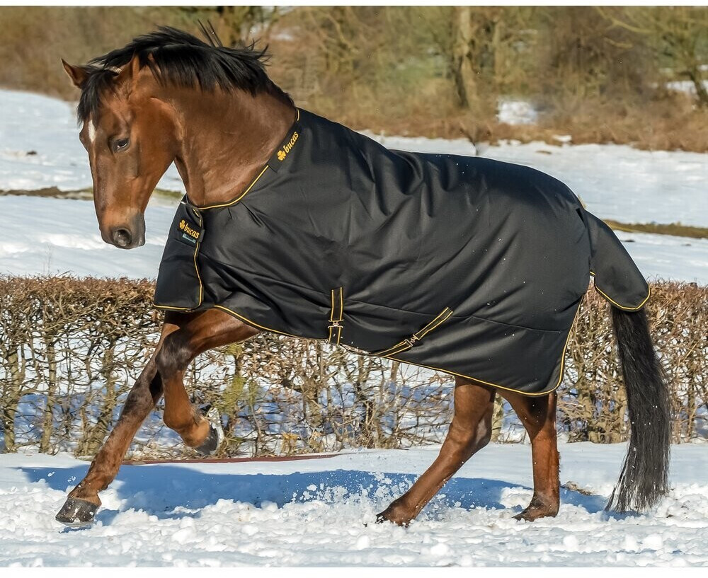 Bucas Irish Turnout Medium