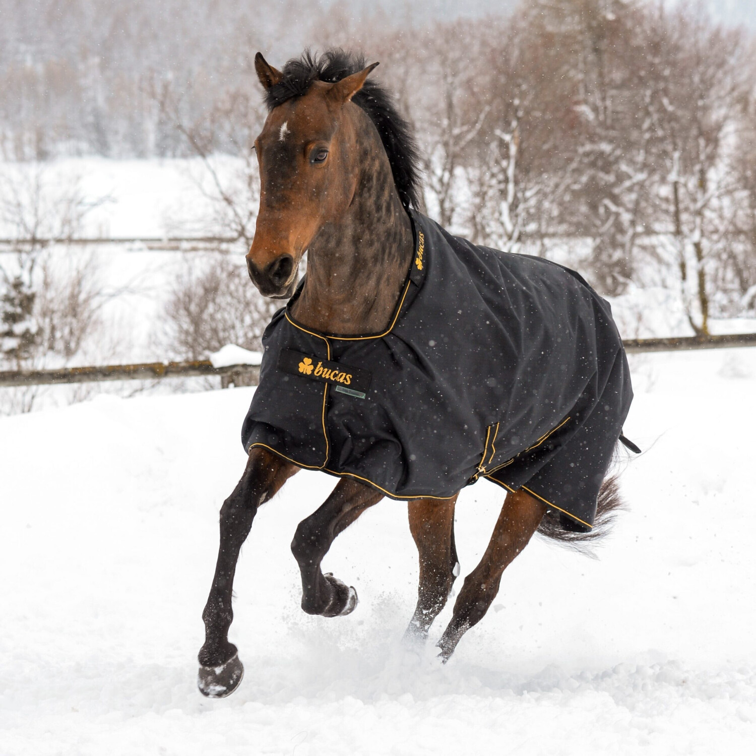 Bucas Irish Turnout Medium 150g 125cm Black/Gold