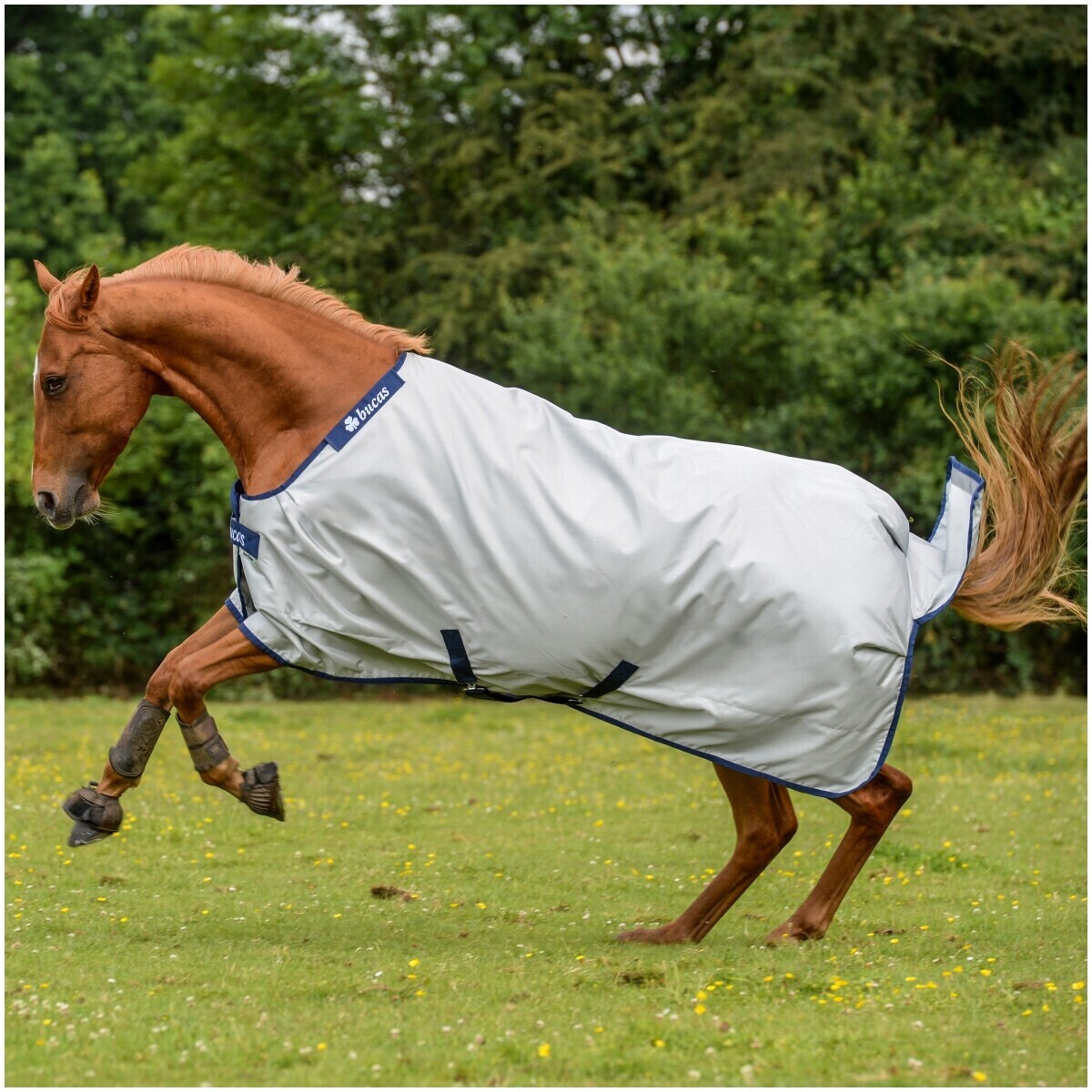 Bucas Power Turnout Extra 300g 115cm Silver