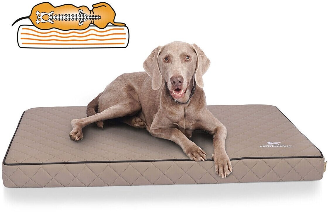 Knuffelwuff Tapis pour chien XXXL 136x84cm Grey Knuffelwuff Tapis pour chien XXXL 136x84cm Grey
