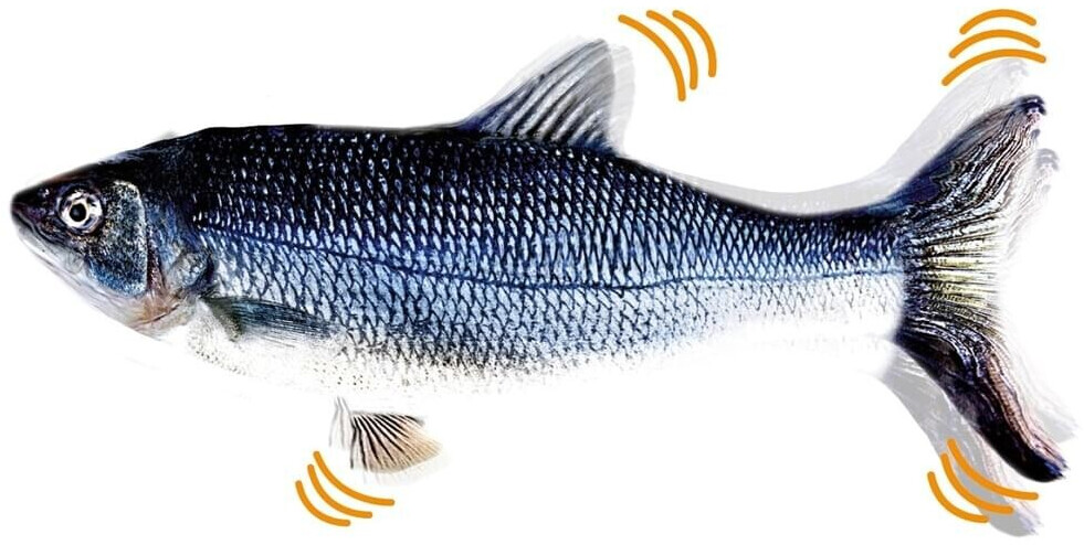 MediaShop Flippity Fish