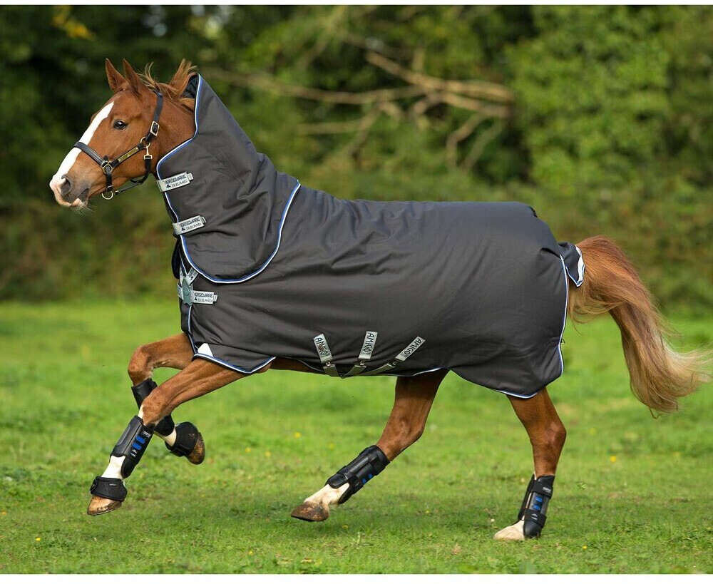 Horseware Amigo Bravo 12 Plus Disc 250g 130cm Excalibur with Strong Blue & Black