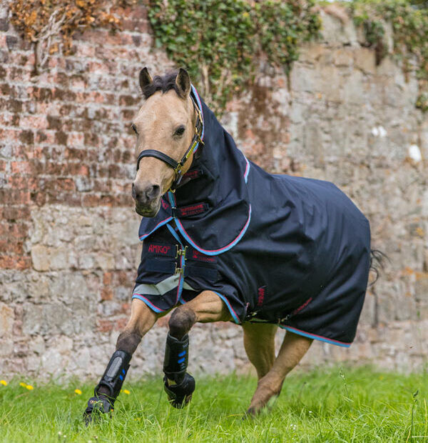 Horseware Amigo Bravo 12 Pony Plus