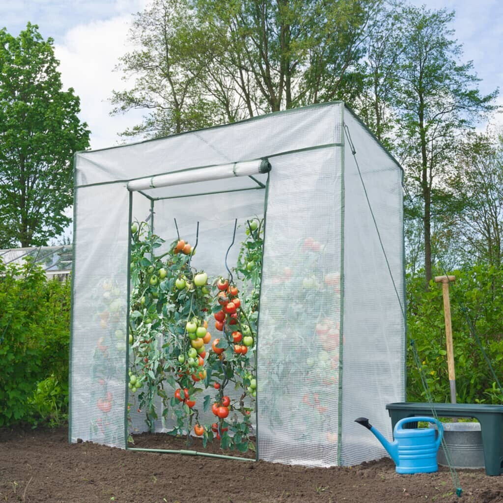 Tunnel à tomates spécial croissance kit complet Serre à tomates