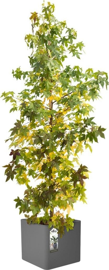 Elho Greenville round 40cm living black