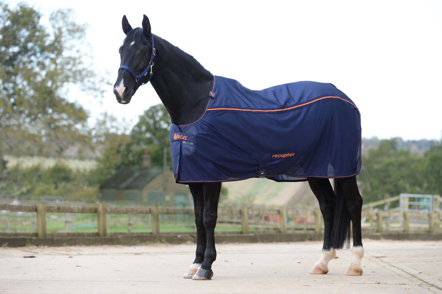 Bucas Therapy Horse Rug