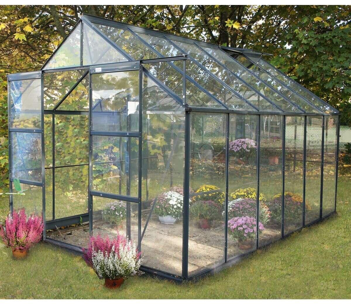 Chalet & Jardin Serre de jardin en verre trempé