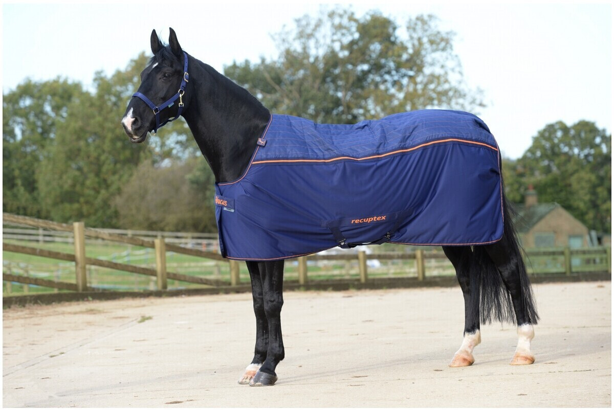 Bucas Therapy Horse Rug 135cm Navy/Orange