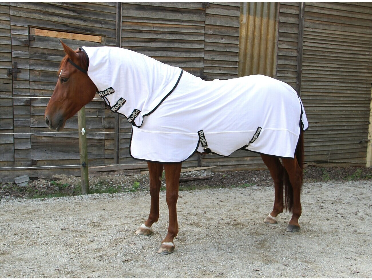 Covalliero RugBe SuperFly with hood 155cm White