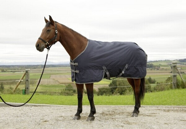 Covalliero RugBe IceProtect 300g 145cm Navy Grey