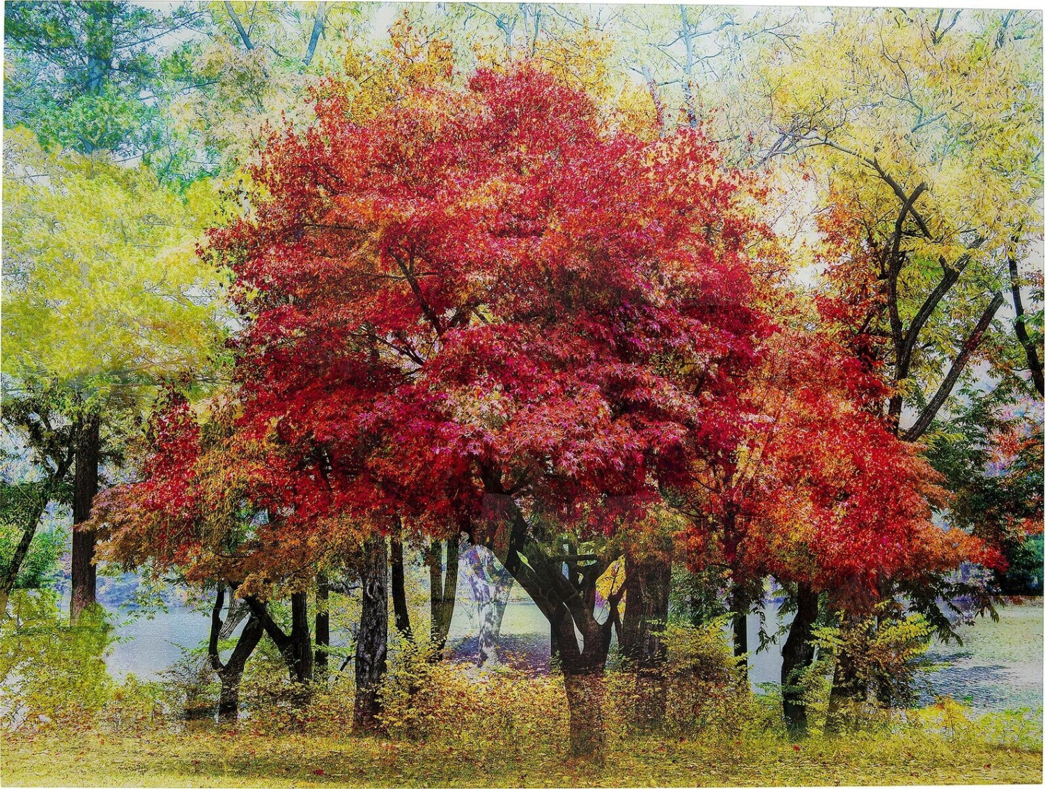 KARE Autumn 160x120cm