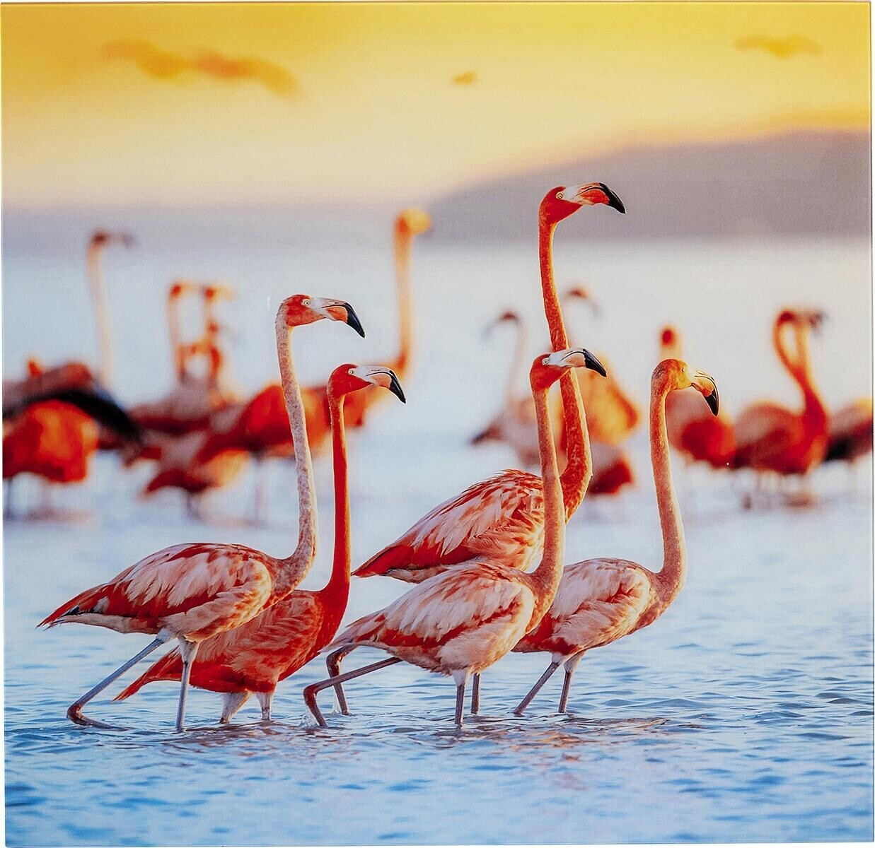 KARE Flamingo Family 80x80cm