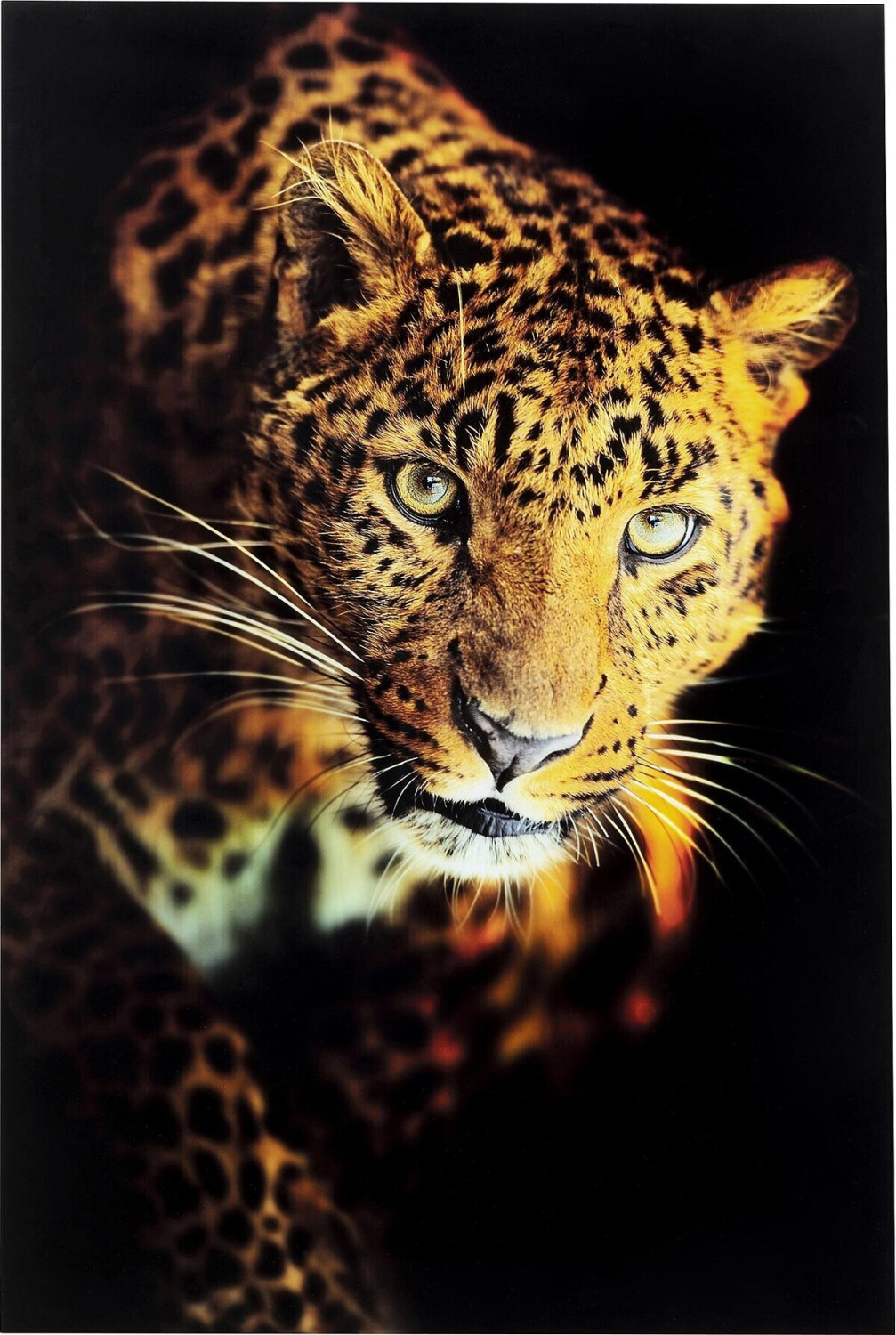 KARE Leopard Shaka 120x80cm