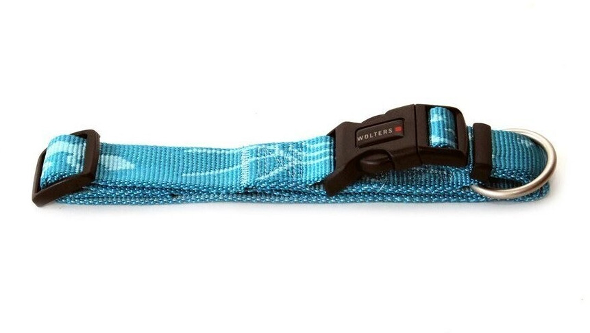 Wolters Collar Sunset