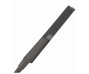 Hansgrohe Rainfinity Stabhandbrause 100 1jet EcoSmart ab 60,40 