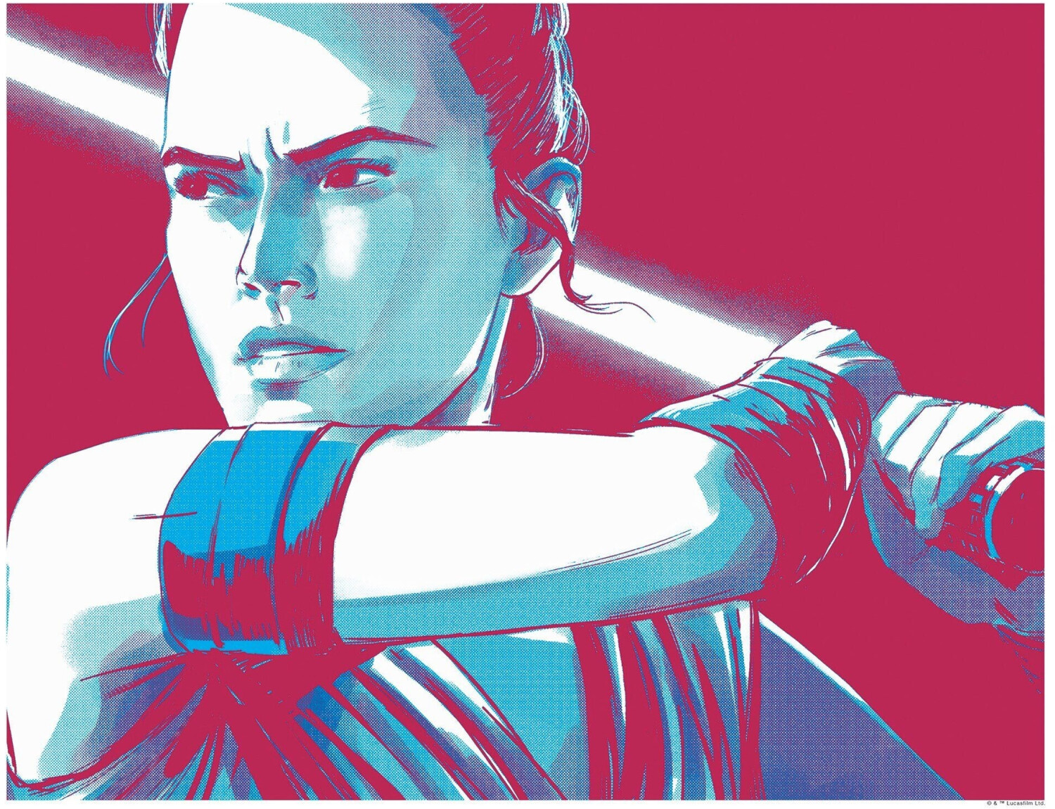 Komar Star Wars Faces Rey 50x40cm