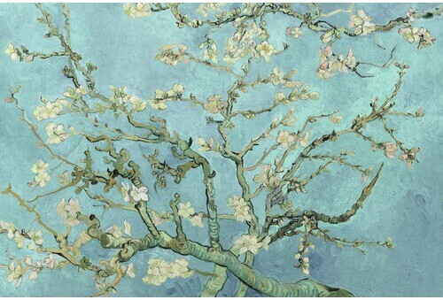 Gogh bei | Bloesem Reinders ab 61x91,5 € 7,99 Preisvergleich cm Van