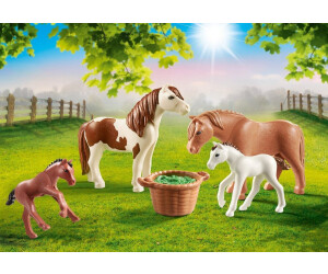 Ranch Poney Playmobil pas cher - Achat neuf et occasion