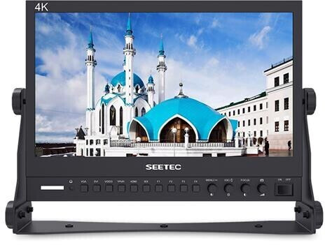 Feelworld Seetec 17.3