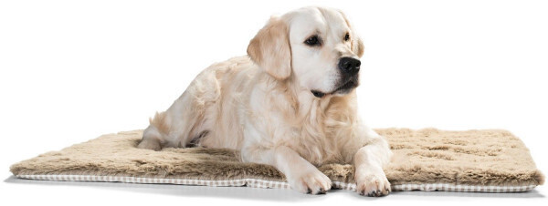 HUNTER Couverture pour chien 120 x 80 cm beige HUNTER Couverture pour chien 120 x 80 cm beige