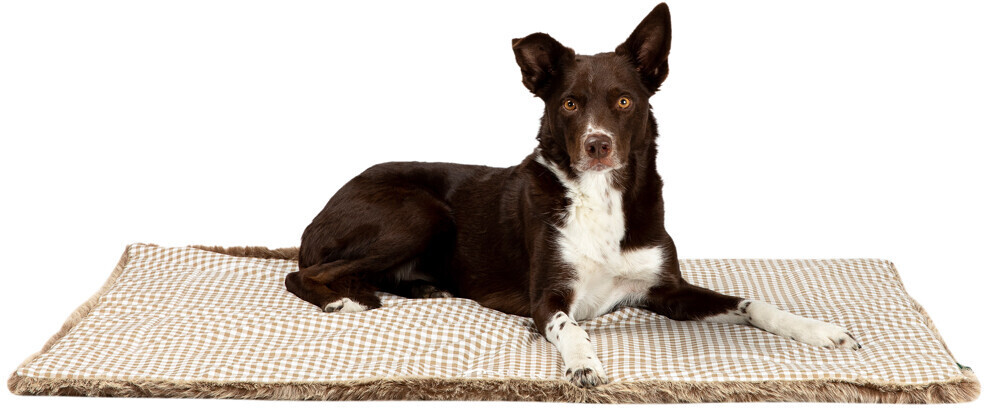 HUNTER Couverture pour chien 120 x 80 cm beige HUNTER Couverture pour chien 120 x 80 cm beige