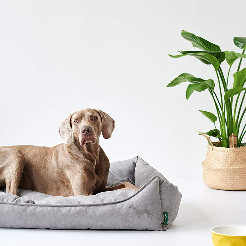 HUNTER Lit pour chien S 60x40cm Grey HUNTER Lit pour chien S 60x40cm Grey