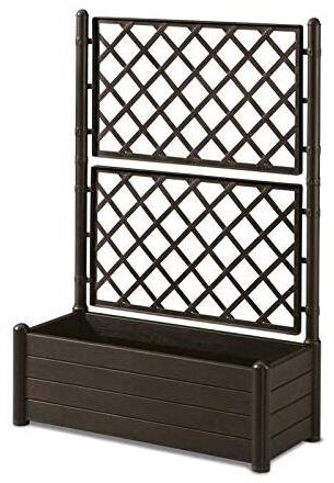 Blinky Bellitalia Moka (100 x 43 x 142 cm)