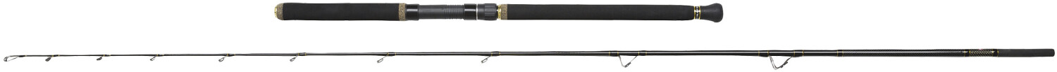 Penn Regiment II Halibut 2,40 m 50 lbs