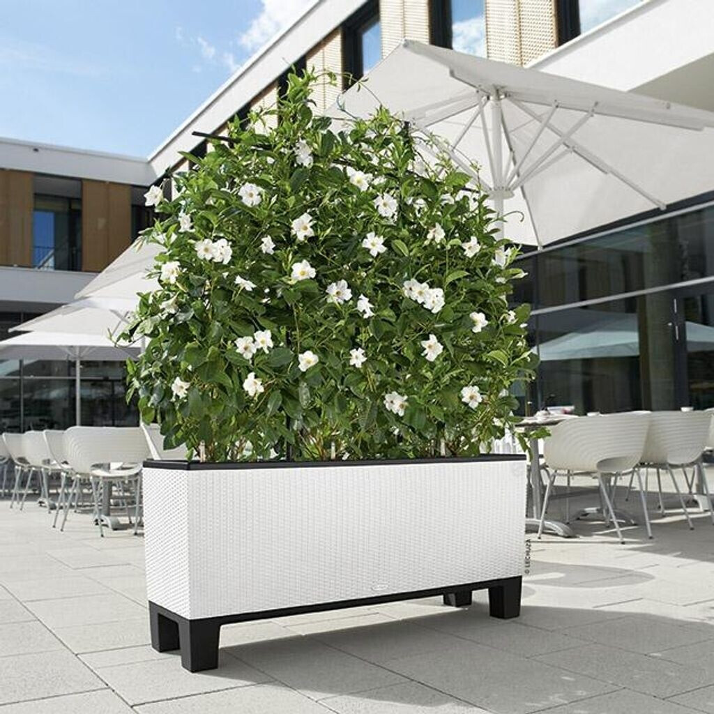 Lechuza Lechuza Trio Cottage 30 All-in-One Set 15006 - view 11