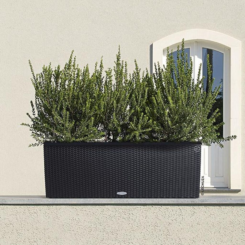 Lechuza Lechuza Trio Cottage 30 All-in-One Set 15006 - view 13