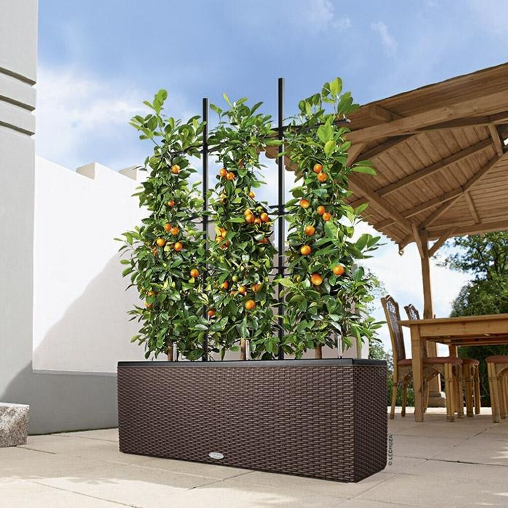 Lechuza Lechuza Trio Cottage 30 All-in-One Set 15006 - view 14